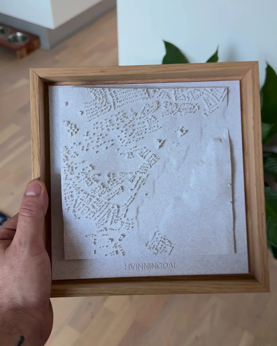 Det 3D-printede kort holdt op foran en grøn plante i stuen